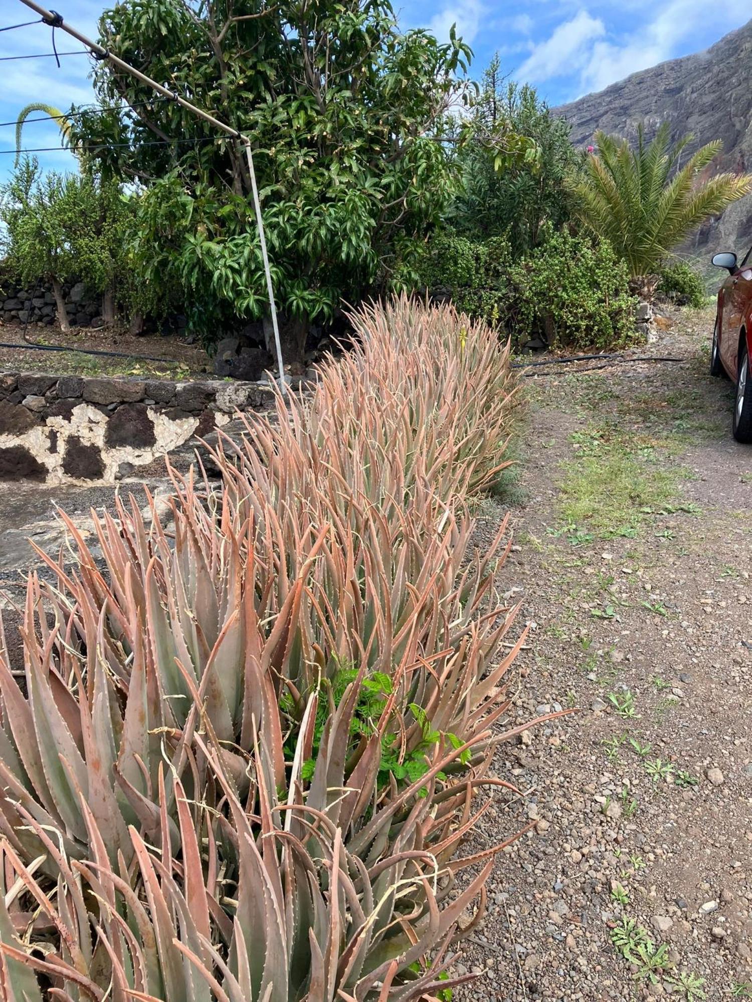 Casa Nela. Rural Y Acogedora En Las Puntas El Hierro Frontera Exterior foto
